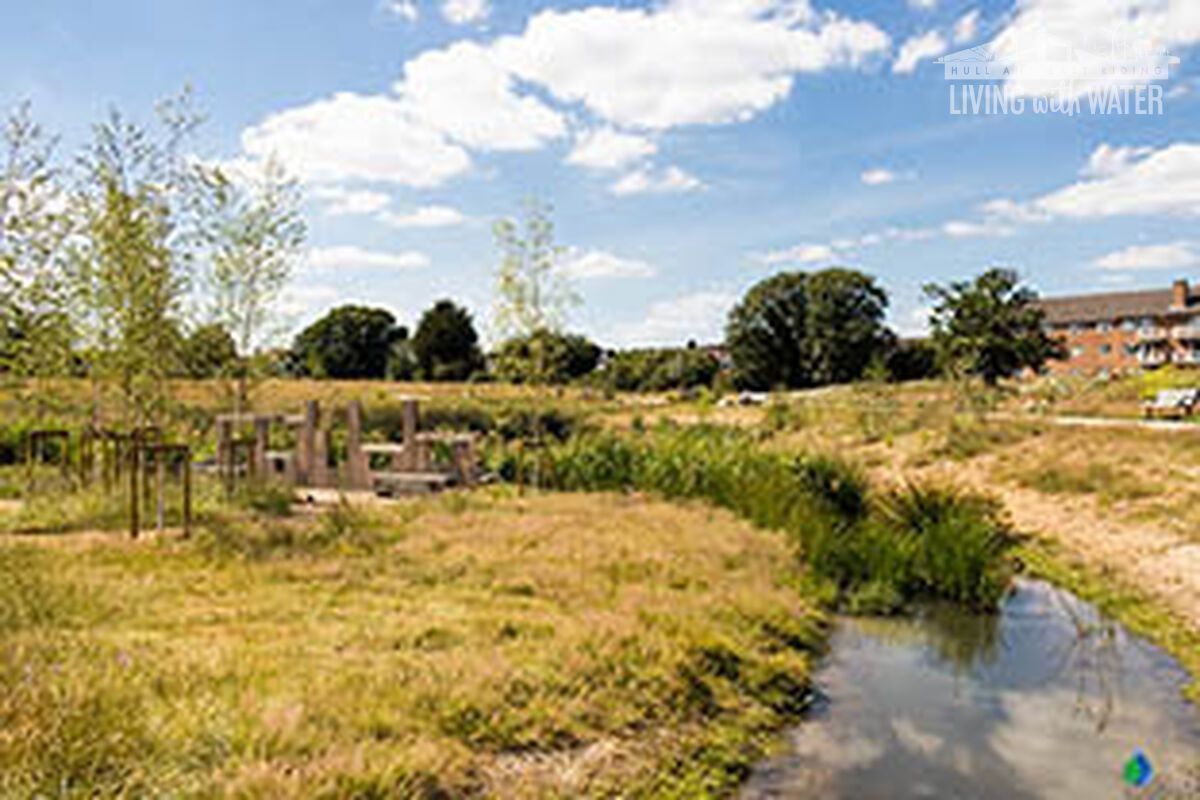 An image of a wetland with grass surrounding