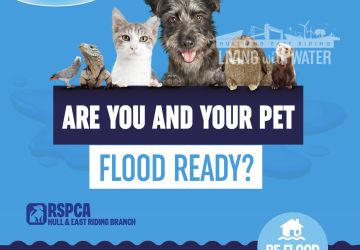 Announcing RSPCA partnership to guide on protecting pets in a flood