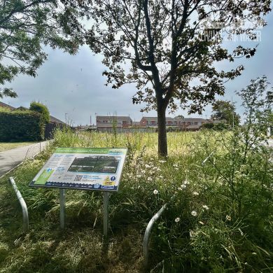 Primrose drive aquagreen